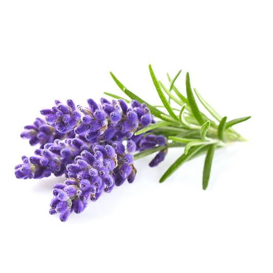 Lavendelblüten, 1 Kg